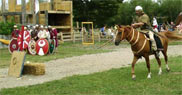Teuxandrii cavalry trains the infantry.
