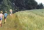 Walking along the Limeswanderweg, north of Mainhardt. 